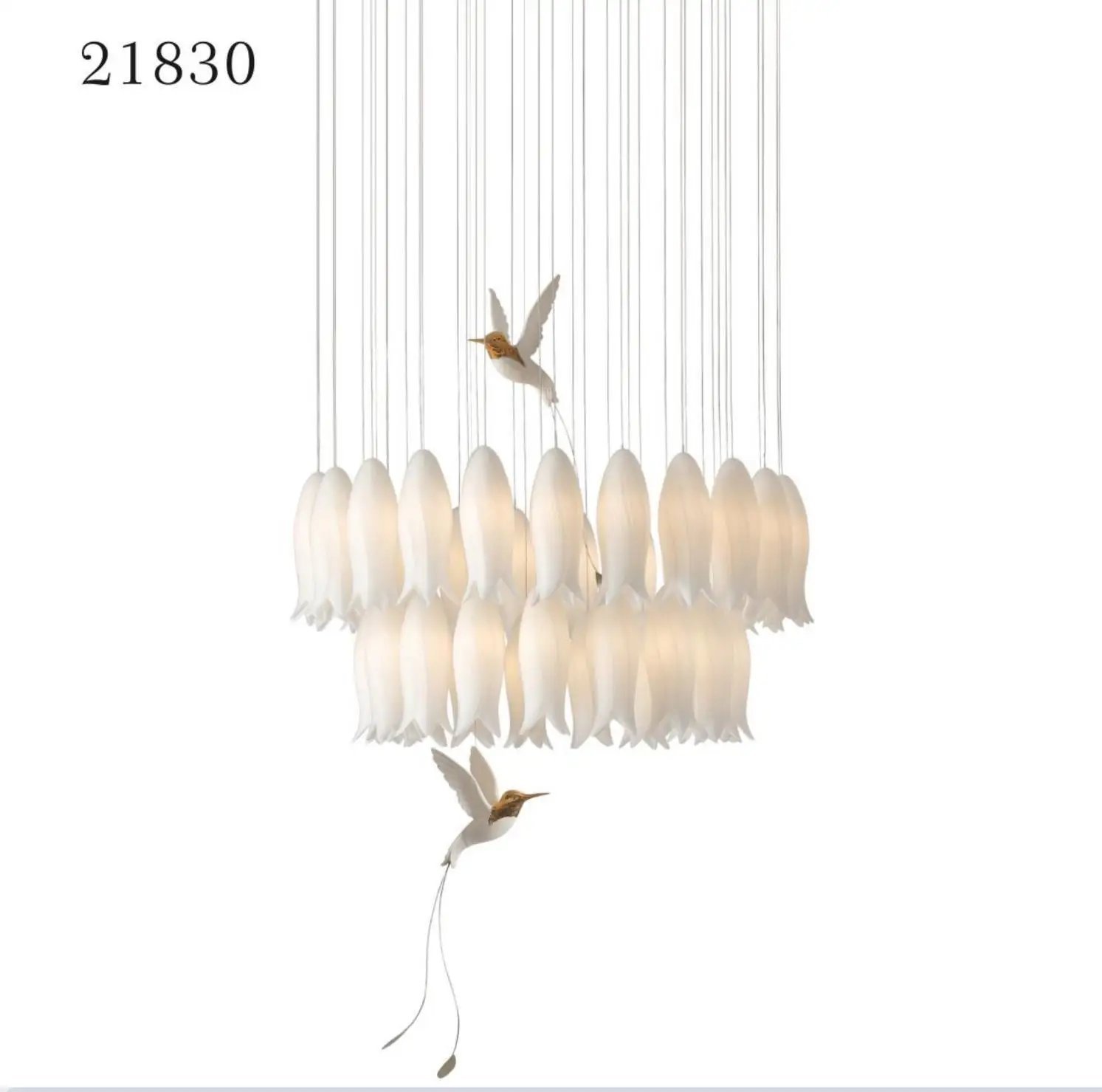 D75cmxH60cm