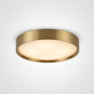 Ceiling Light Fixtures