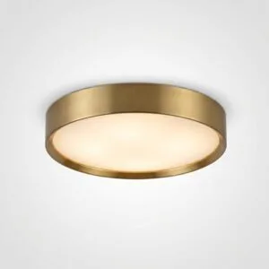 Ceiling Light Fixtures